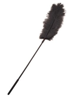 Body Tickler: Federstab, schwarz