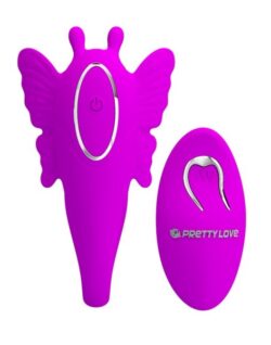Paar-Vibrator mit Fernbedienung